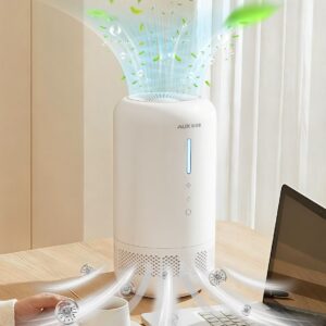 White humidifier