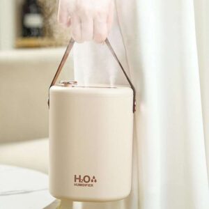 Portable water humidifier